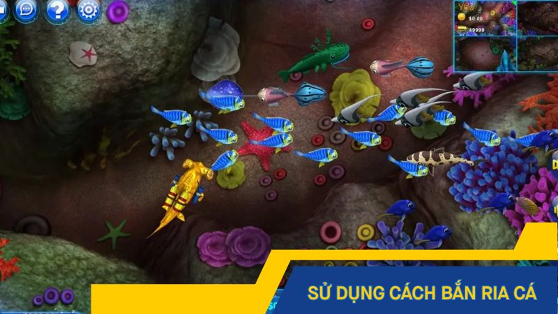 Mẹo chơi bắn cá quan trọng